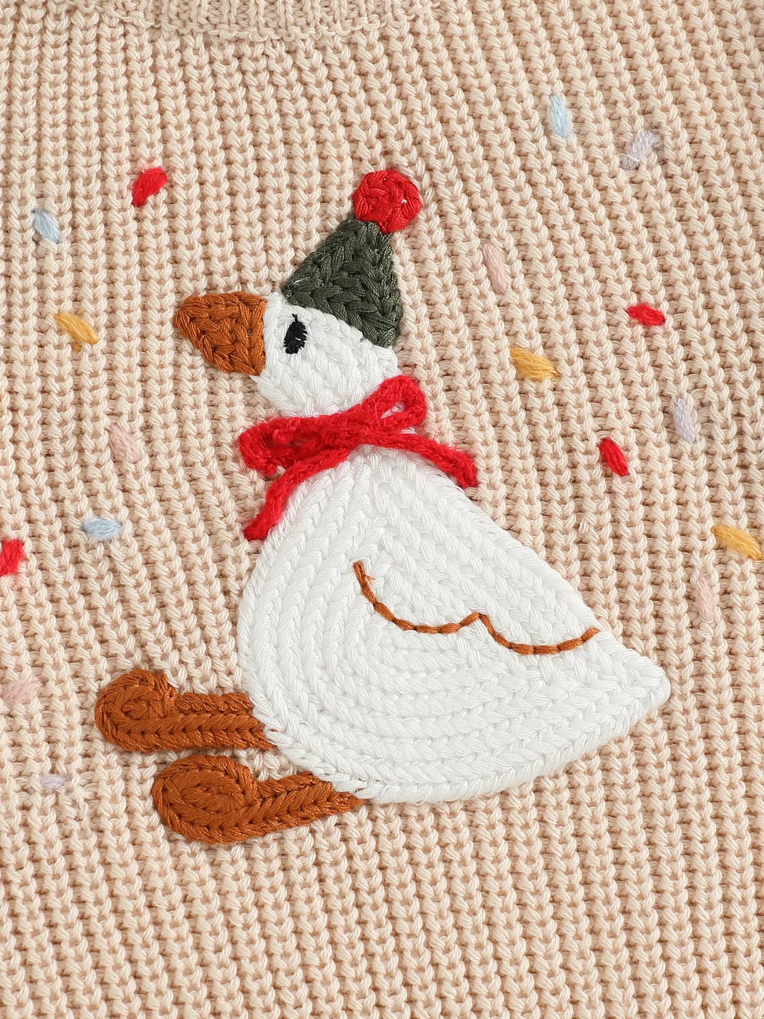 The Birthday Goose Jumper